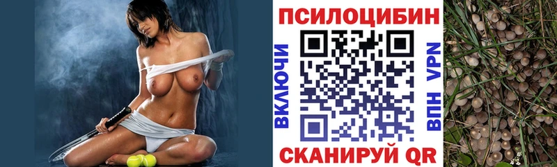 купить  цена  Тверь  Псилоцибиновые грибы прущие грибы 