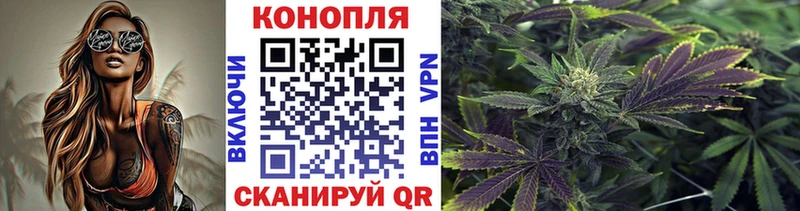 Марихуана семена Тверь